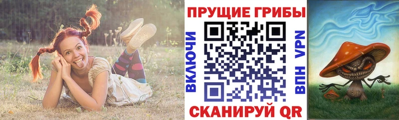 Галлюциногенные грибы MAGIC MUSHROOMS  Купить закладки  Сертолово 