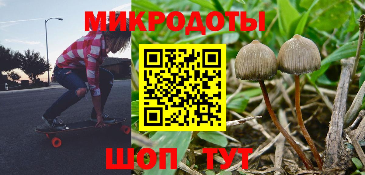 Псилоцибиновые грибы Psilocybe  Галлюциногенные грибы прущие грибы  Сертолово  Вход с VPN 
