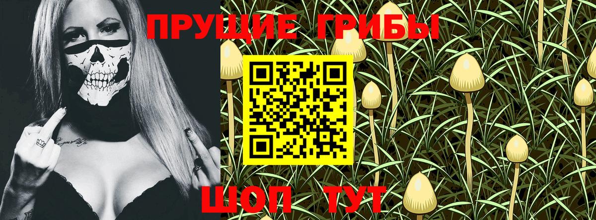 Галлюциногенные грибы MAGIC MUSHROOMS Сертолово