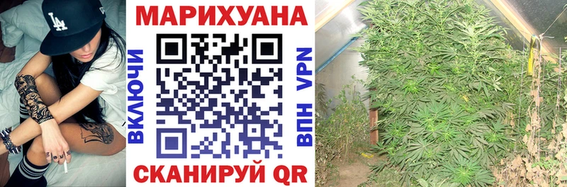 Марихуана THC 21%  Купить закладки  Сертолово 