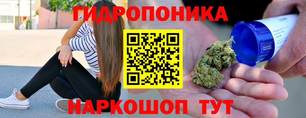 Бошки Шишки OG Kush  Шишки марихуана план  Марихуана White Widow  Сертолово  Вход с VPN 